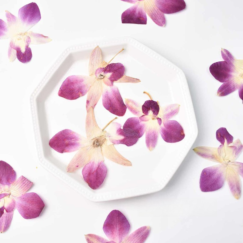 4pcs,Real Pressed Butterfly Or - Art And Craft Photos review and price