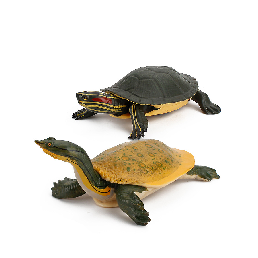 Simulation Chinese Softshell L - Chinese Art Craft review and price