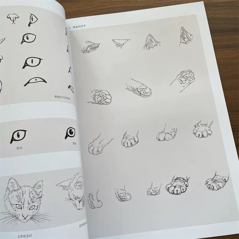 8K Chinese Gongbi Animal Cat P - Chinese Art Craft review and price