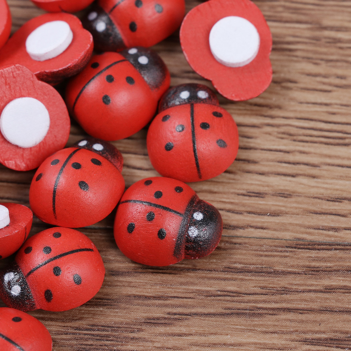 100 pcs Ladybugs Sponge Sticke - Art Craft Ladybug review and price