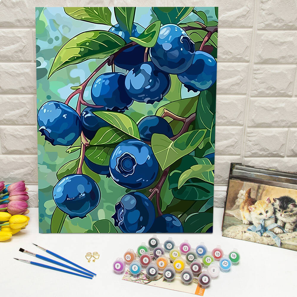 DIY Drawing By Numbers Blueber - Art Craft Gifts For Adults review and price