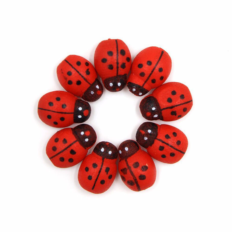 Self-adhesive Mini Refrigerato - Art Craft Ladybug review and price