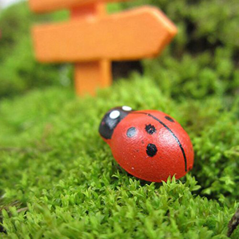 Self-adhesive Mini Refrigerato - Art Craft Ladybug review and price